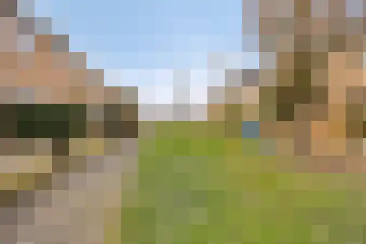 Wollegrasstraat 55 Wormer thumbnail 36