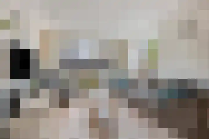 Wollegrasstraat 55 Wormer thumbnail 9
