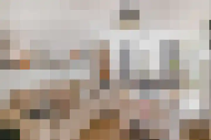Wolphaertsbocht 263 C Rotterdam