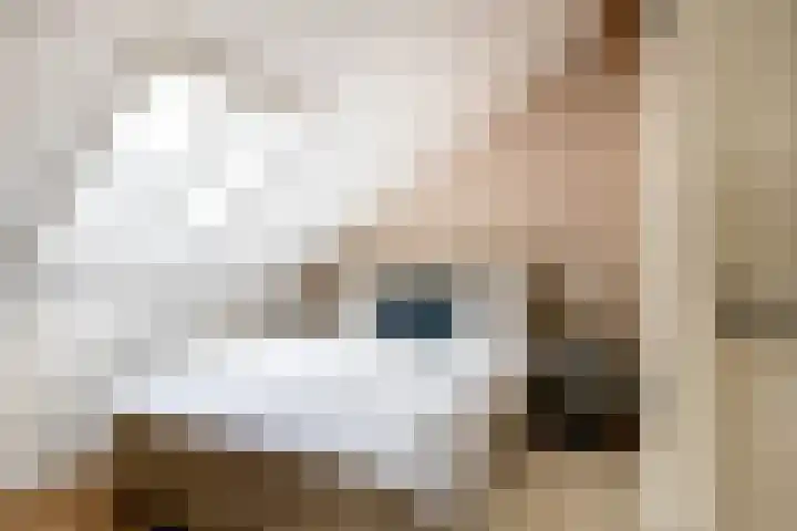 Wolput 11 Vlijmen thumbnail 117