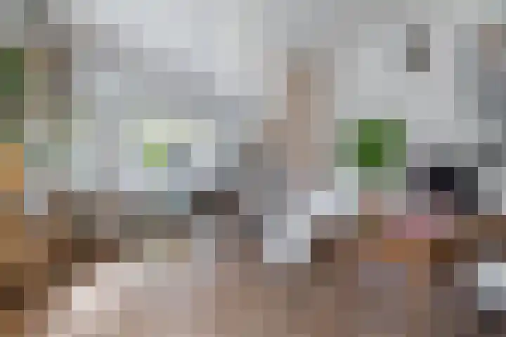 Wolput 11 Vlijmen thumbnail 13