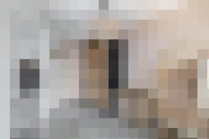 Wolput 11 Vlijmen thumbnail 149