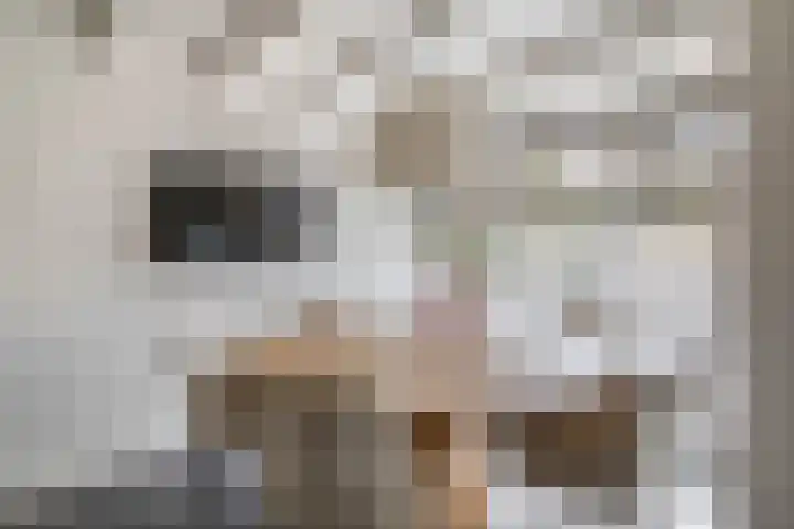 Wolput 11 Vlijmen thumbnail 15