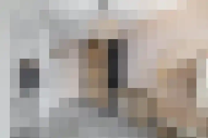 Wolput 11 Vlijmen thumbnail 150