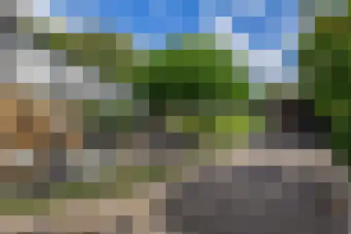 Wolput 11 Vlijmen thumbnail 164