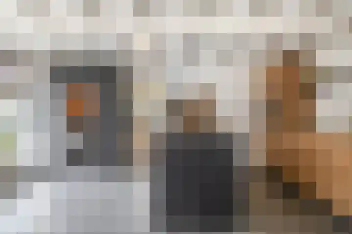 Wolput 11 Vlijmen thumbnail 17