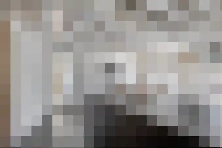 Wolput 11 Vlijmen thumbnail 19