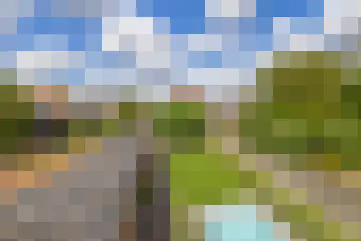 Wolput 11 Vlijmen thumbnail 31