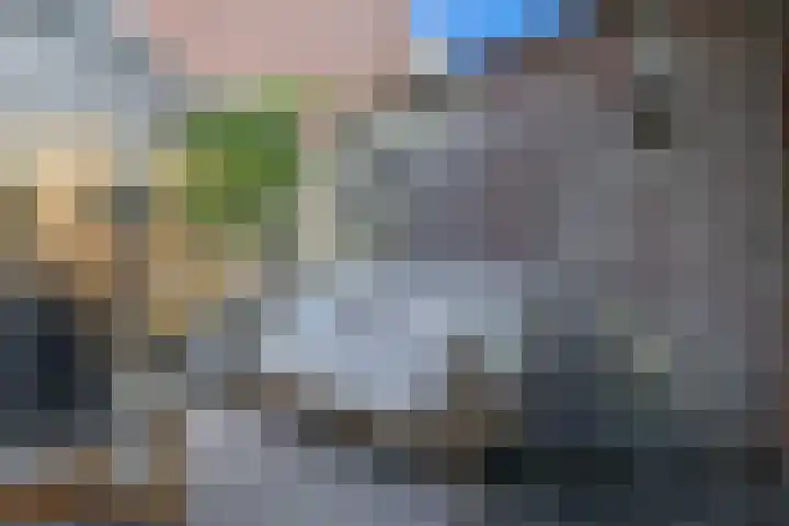 Wolput 11 Vlijmen thumbnail 36