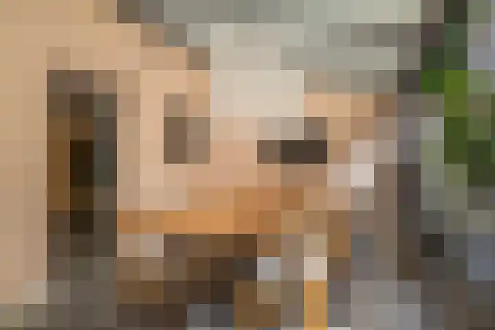 Wolput 11 Vlijmen thumbnail 41