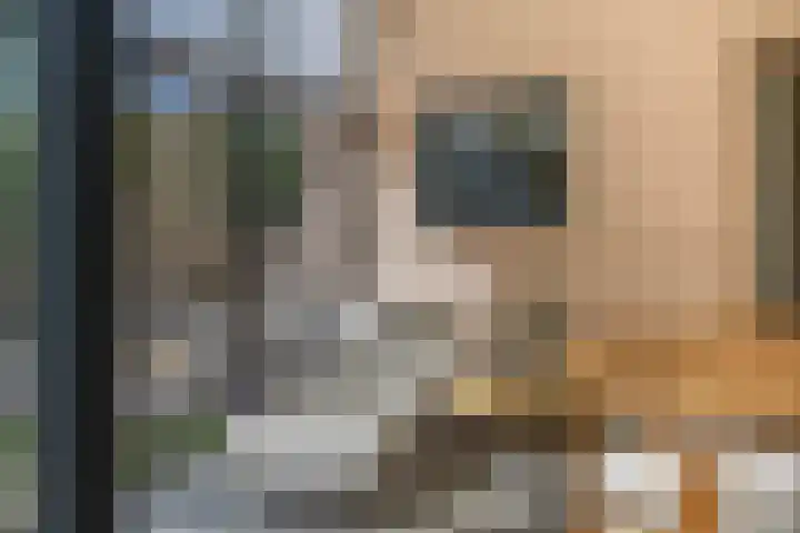 Wolput 11 Vlijmen thumbnail 44