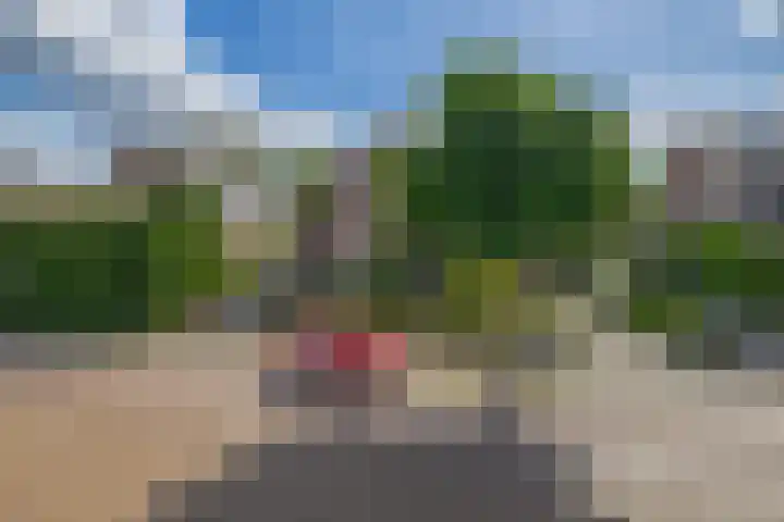 Wolput 11 Vlijmen thumbnail 5