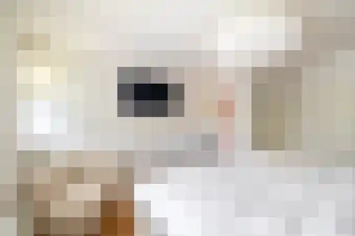 Wolput 11 Vlijmen thumbnail 73