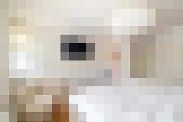 Wolput 11 Vlijmen thumbnail 76