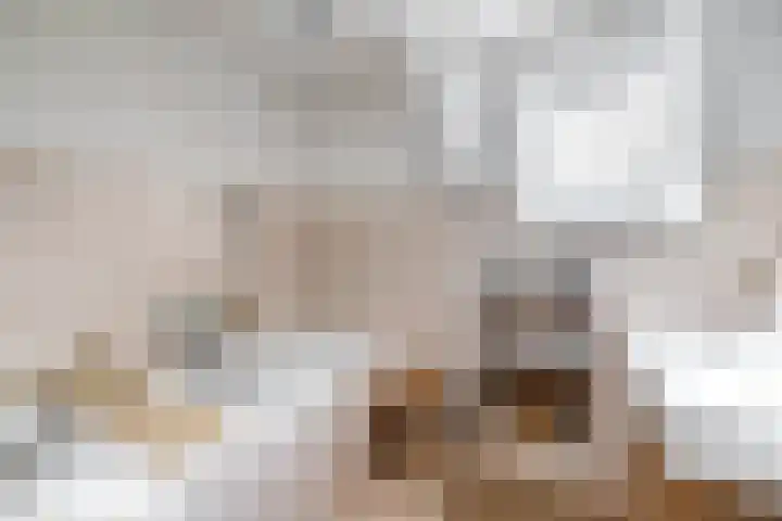 Wolput 11 Vlijmen thumbnail 81