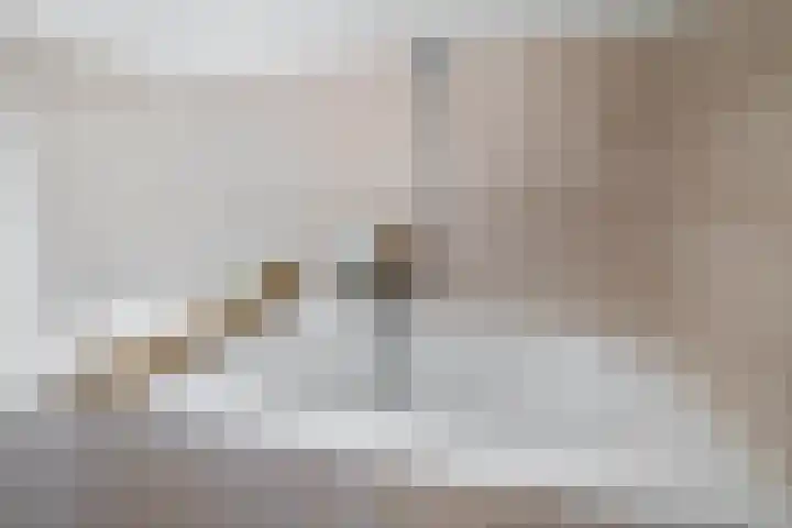 Wolput 11 Vlijmen thumbnail 84