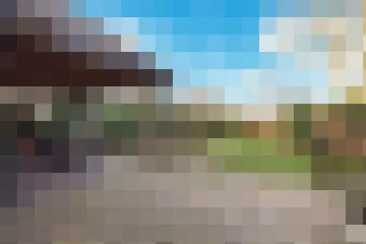 Wolput 76 A Vlijmen thumbnail 21