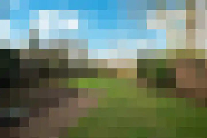 Wolput 76 A Vlijmen thumbnail 23