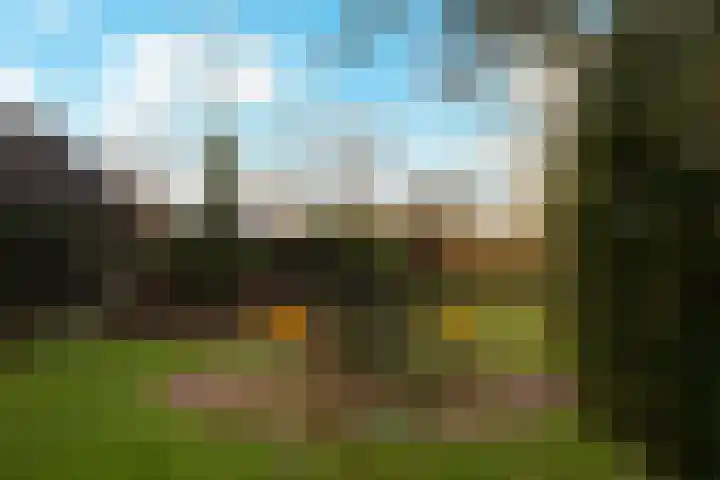 Wolput 76 A Vlijmen thumbnail 24