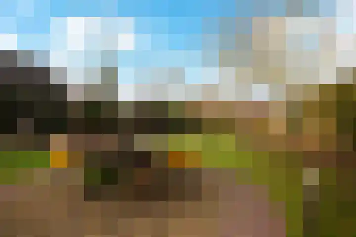 Wolput 76 A Vlijmen thumbnail 25
