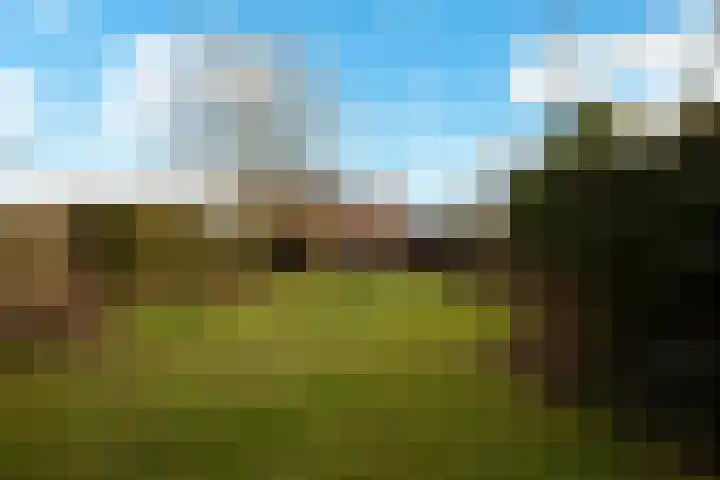 Wolput 76 A Vlijmen thumbnail 26