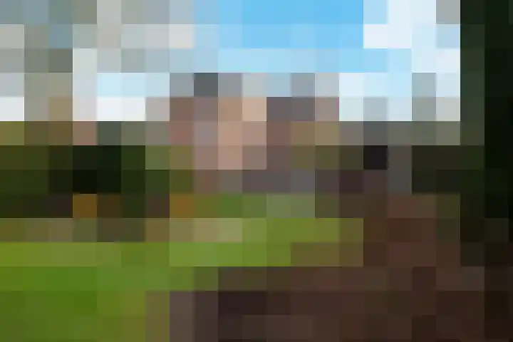 Wolput 76 A Vlijmen thumbnail 27