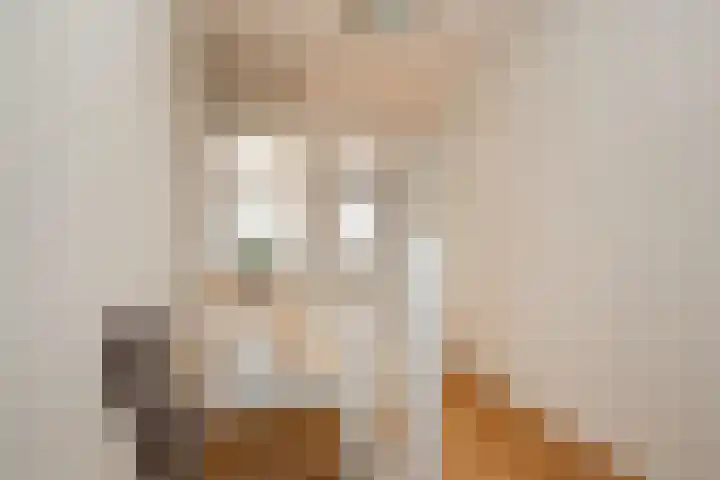 Wolput 76 A Vlijmen thumbnail 29