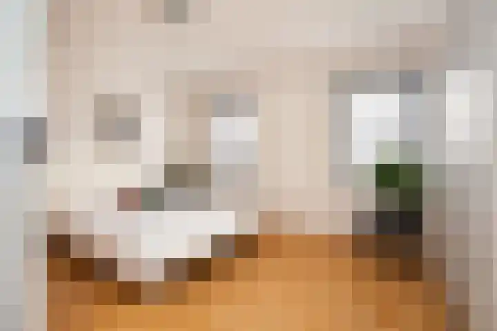 Wolput 76 A Vlijmen thumbnail 30