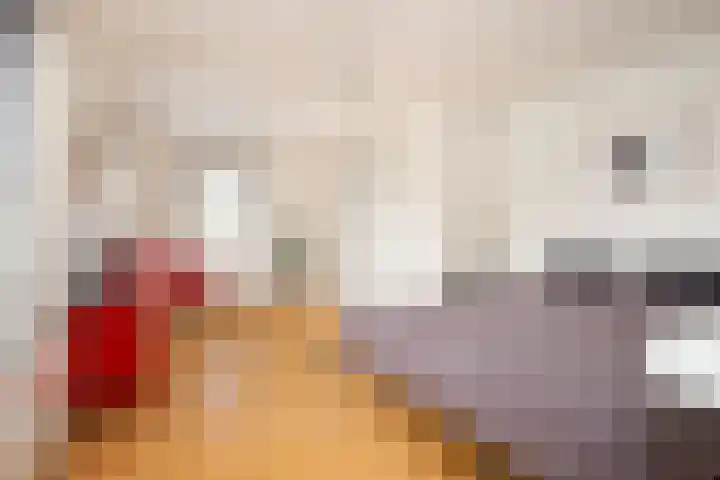 Wolput 76 A Vlijmen thumbnail 35
