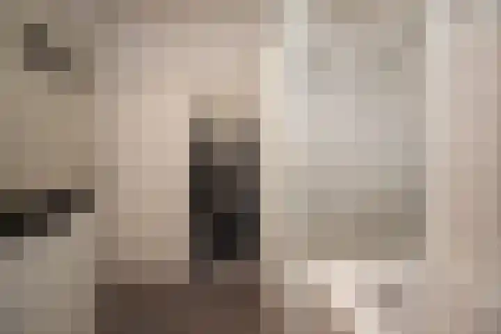 Wolput 76 A Vlijmen thumbnail 38