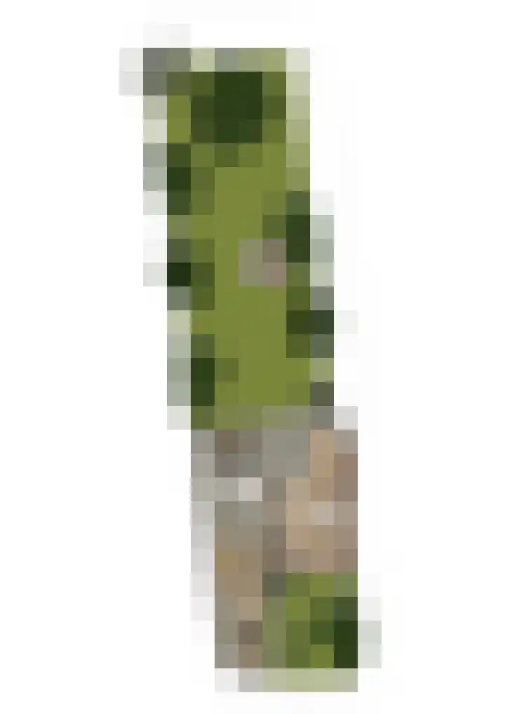 Wolput 76 A Vlijmen thumbnail 45