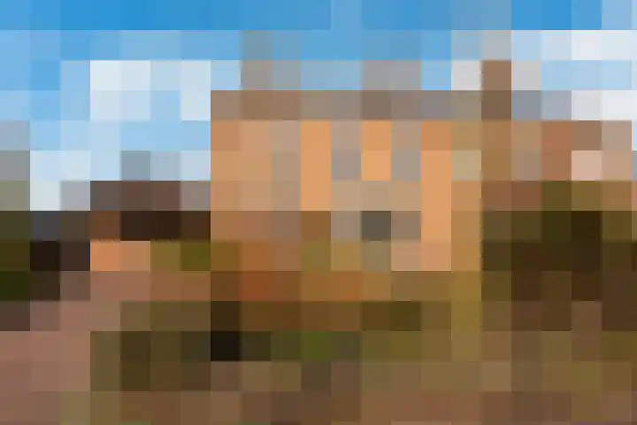 Wolput 76 A Vlijmen thumbnail 7