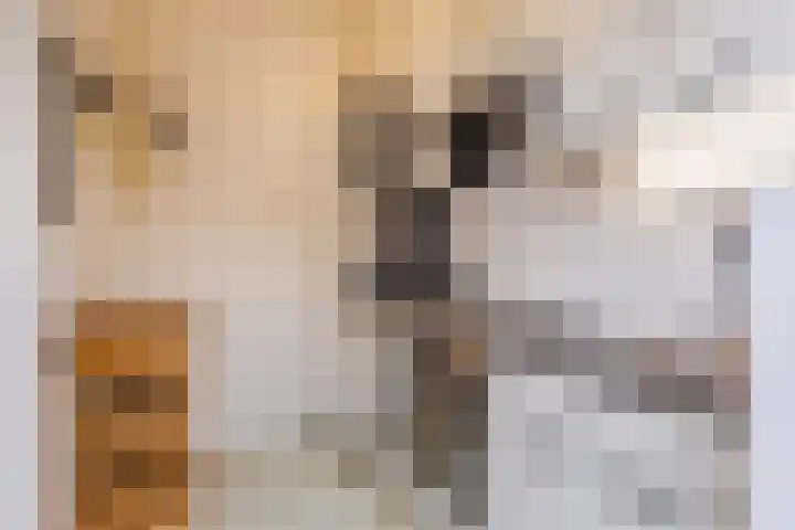 Wolstraat 25 Geldrop thumbnail 11