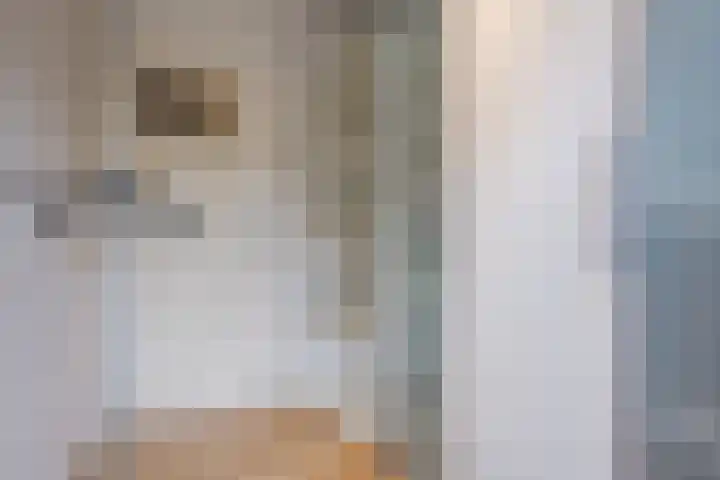Wolstraat 25 Geldrop thumbnail 20