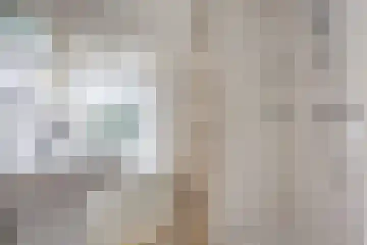 Wolstraat 25 Geldrop thumbnail 21