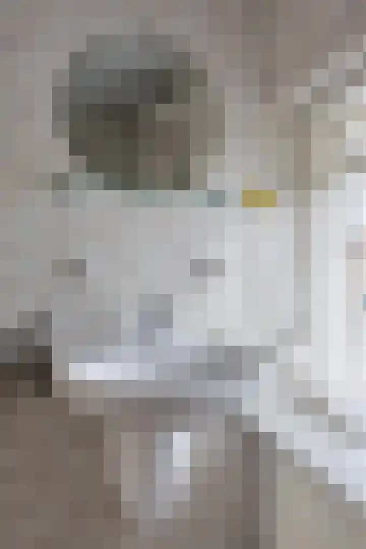 Wolstraat 25 Geldrop thumbnail 22
