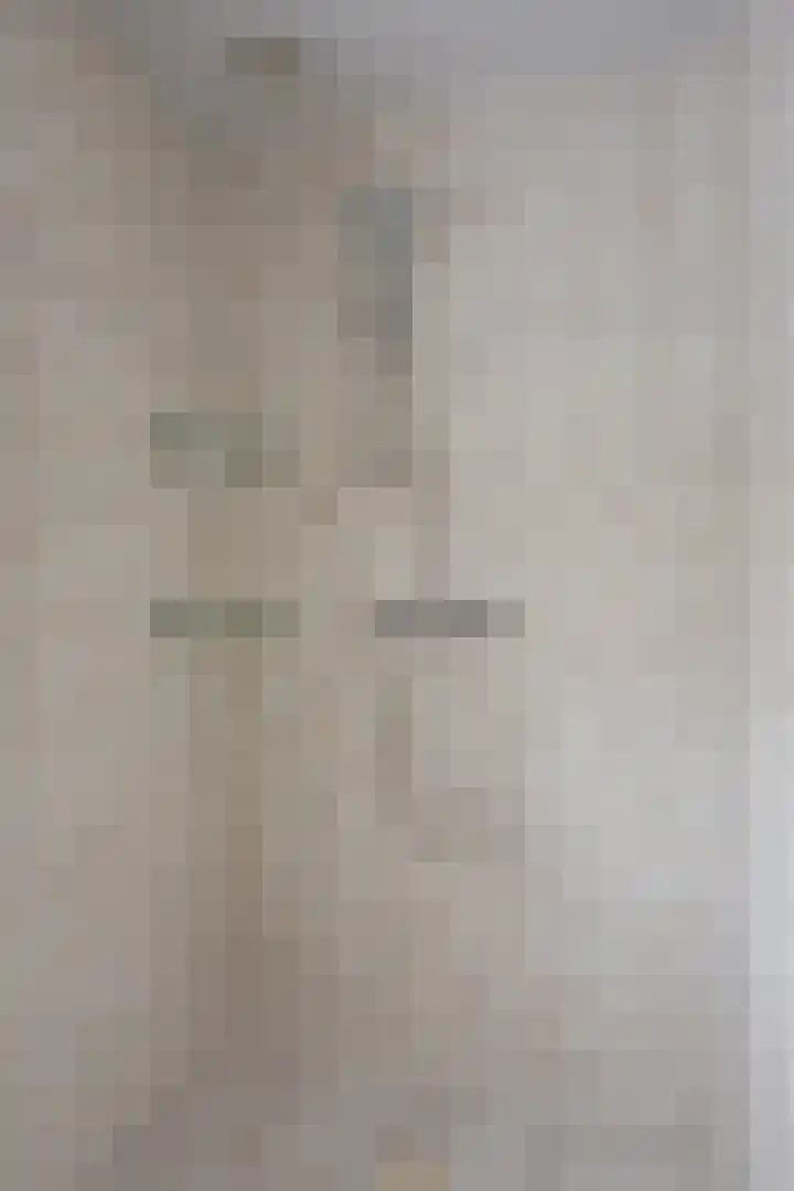 Wolstraat 25 Geldrop thumbnail 23
