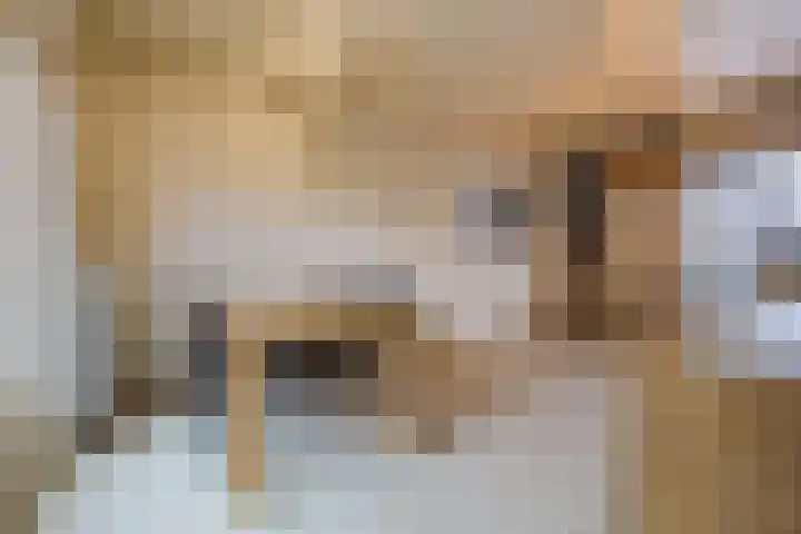Wolstraat 25 Geldrop thumbnail 6