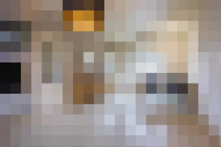 Wolstraat 25 Geldrop thumbnail 7