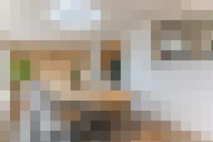 Wolstraat 5 Geldrop thumbnail 16