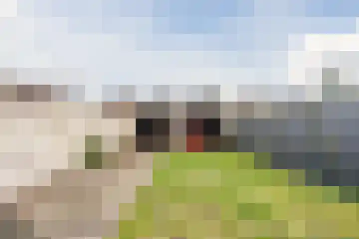 Wolstraat 5 Geldrop thumbnail 29
