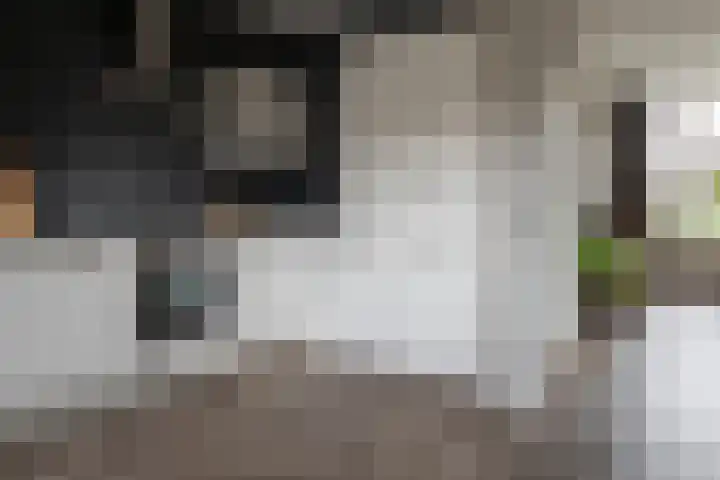 Wolterinksweg 73 Haarle thumbnail 10