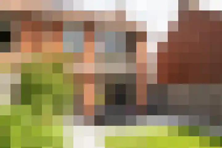 Wolterinksweg 73 Haarle thumbnail 27