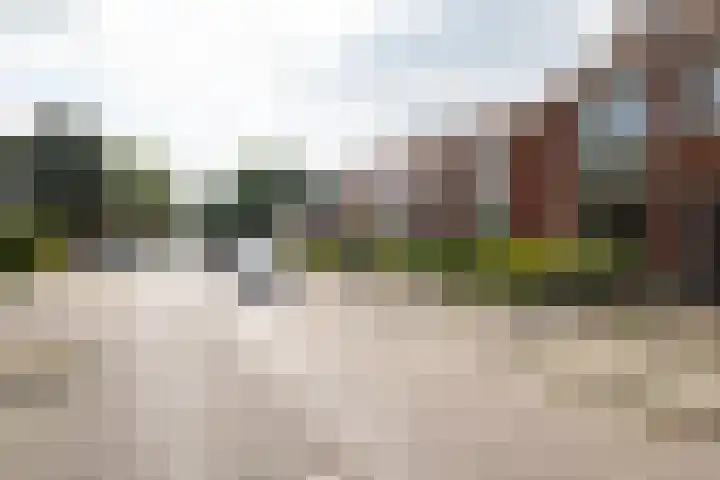 Wolterinksweg 73 Haarle thumbnail 30
