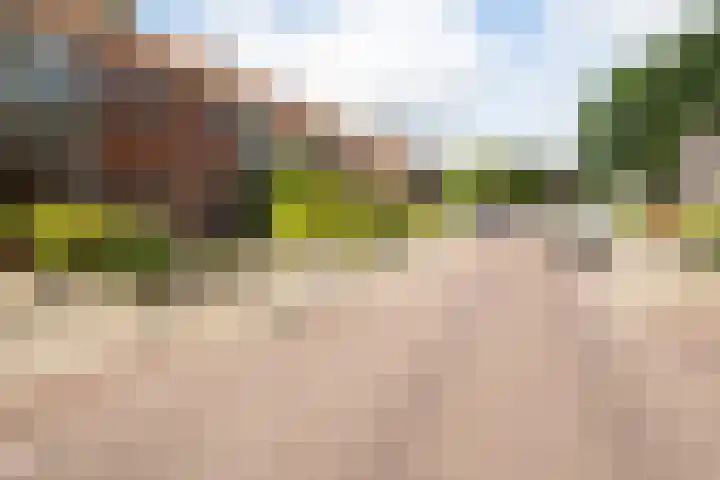 Wolterinksweg 73 Haarle thumbnail 31