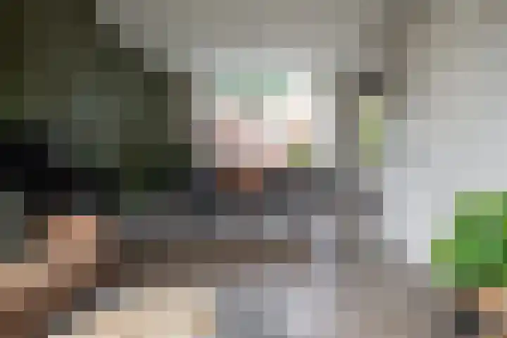 Wolterinksweg 73 Haarle thumbnail 7