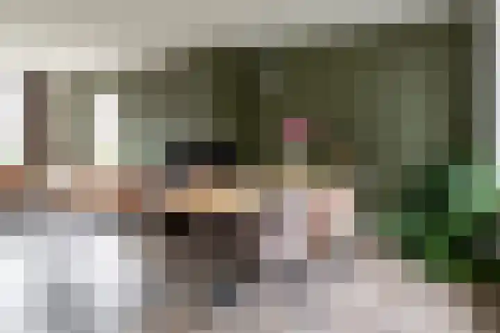 Wolterinksweg 73 Haarle thumbnail 9