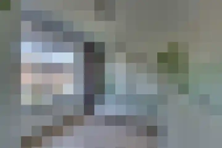 Wolterinksweg 81 Haarle thumbnail 19