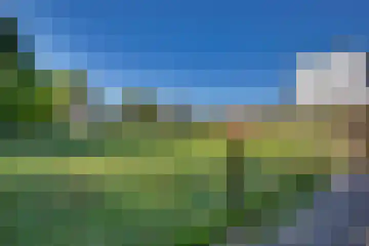 Wolterinksweg 81 Haarle thumbnail 35