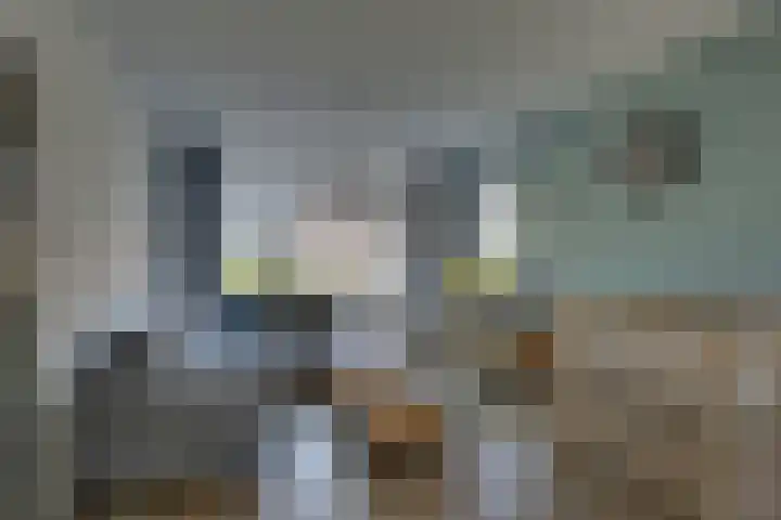 Wolterinksweg 81 Haarle thumbnail 8